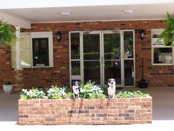 Durham Skyland Inn エクステリア 写真